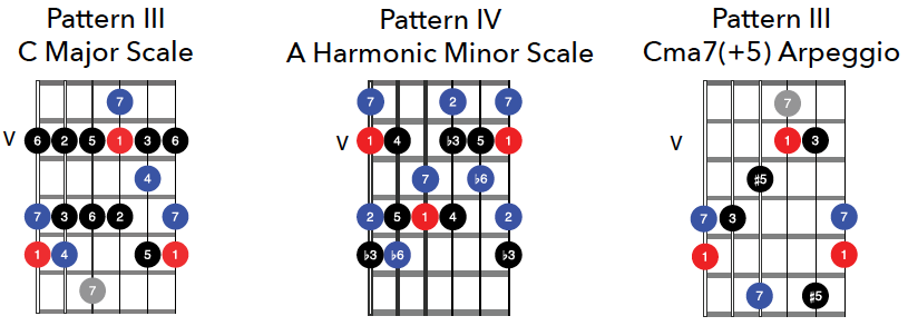 Progression In C Major Fretboard Biology